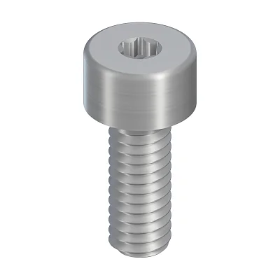 Винт SCS M2.5x6.5